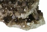 Dark Smoky Quartz Crystal Cluster - Brazil #138467-1